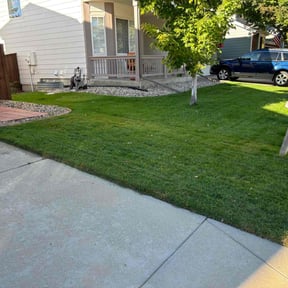 gardening service by LSF reviewed on December 12, 2025