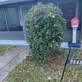 Bush Trimming by JMG Lawn Care reviewed on October 22, 2025