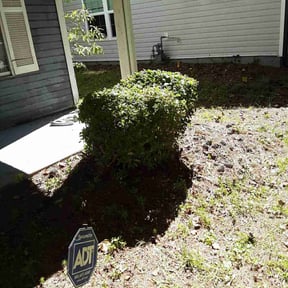 Bush Trimming by Arose landscaping reviewed on August 15, 2025