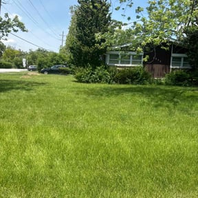 yard maintenance by Chewys Landscaping reviewed on August 15, 2025