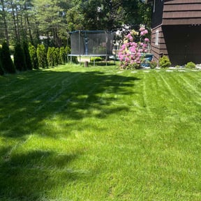 landscaping services by Quality star landscaping reviewed on November 27, 2025