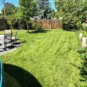 yard work by Puly's Mower reviewed on August 17, 2025
