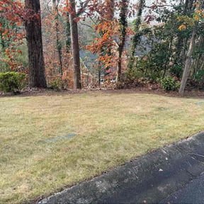 Leaf Removal by J.C. Lawn Service reviewed on September 1, 2026