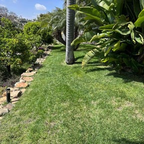 yard care by House 2 House Place 2 Place reviewed on January 4, 2024