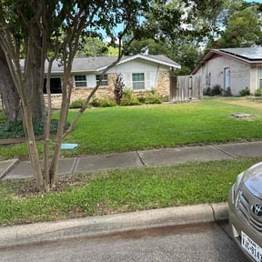 landscape maintenance by Green Day Lawn Service reviewed on August 20, 2025