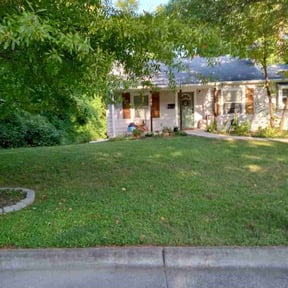 yard service by Curb Appeal reviewed on August 20, 2025