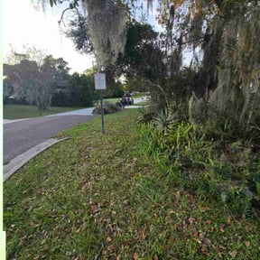 Leaf Removal by SPX Lawncare reviewed on November 9, 2025