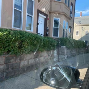 Bush Trimming by M&amp;D lawn care L.L.C reviewed on November 10, 2025