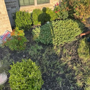 Flower Bed Weeding by Jose Perez Landscaping reviewed on December 18, 2025