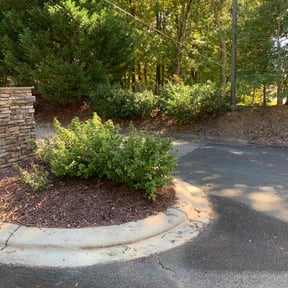 Bush Trimming by Lawn Care Me Please LLC reviewed on November 23, 2025