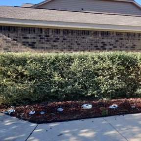Bush Trimming by OMC lawncare reviewed on August 17, 2025