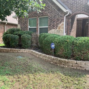 Bush Trimming by Gogolawncare reviewed on August 18, 2025