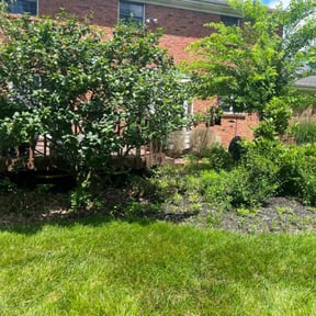 Mulching by Kumbayah Garden reviewed on October 19, 2025