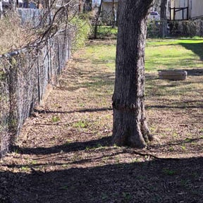 Leaf Removal by Done Right Handyman Services LLC. reviewed on August 17, 2026