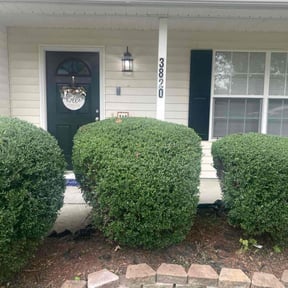 Bush Trimming by SGP Lawn Services reviewed on October 24, 2025