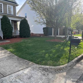 yard work by Smith &amp; son reviewed on March 19, 2024