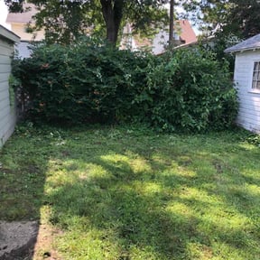 Bush Trimming by D&G Lawn Care reviewed on August 19, 2025