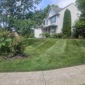 landscape maintenance by Pooh's Lawn Care & Home Improvements reviewed on August 21, 2025
