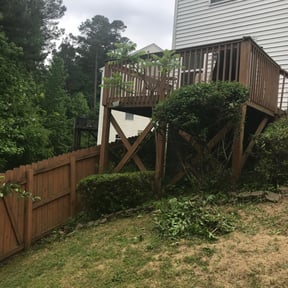 Bush Trimming by Var Landscape reviewed on August 17, 2025