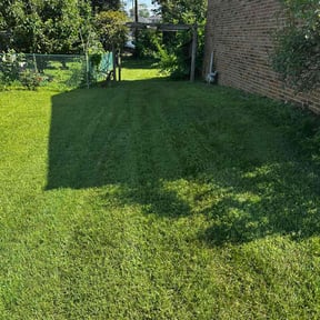 grass maintenance by Yard Boss Lawn &amp; Landscape LLC reviewed on August 4, 2022