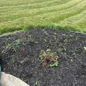 Flower Bed Weeding by Heights lawn care reviewed on July 15, 2026