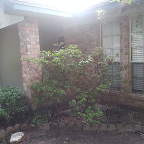 Bush Trimming by Crescent lawn services reviewed on August 19, 2025