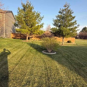 landscaping by Tim's Discount Lawn reviewed on August 16, 2025