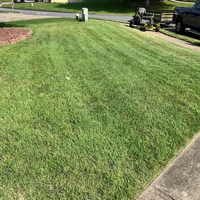 landscaping services by Elite Professional Services LLC reviewed on August 19, 2025