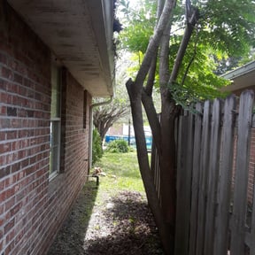 Bush Trimming by Green heads lawn care reviewed on August 16, 2025