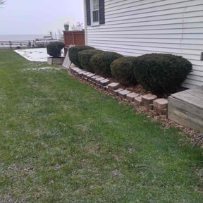 Bush Trimming by Dan's Lawn & Landscaping reviewed on August 18, 2025