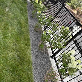 Bush Trimming by Los Hombre Landscaping reviewed on August 2, 2026