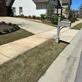 yard maintenance by Loveladys Lawn Care reviewed on August 17, 2025