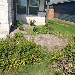 Flower Bed Weeding by Kutz reviewed on October 24, 2025