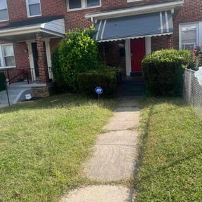 Bush Trimming by Service Squad L.L.C. reviewed on December 18, 2025