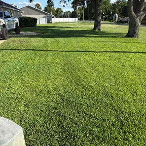 yard service by Busy Bee's Lawn Care LLC reviewed on August 5, 2024