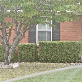 Bush Trimming by GW Lawn reviewed on November 6, 2025