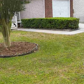 Bush Trimming by Kimball’s Lawns reviewed on May 6, 2026