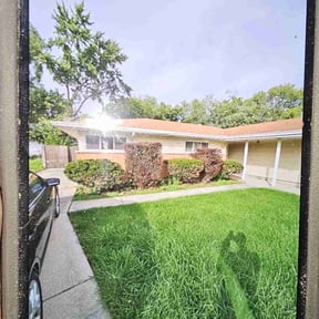 Bush Trimming by Felder Pro Services reviewed on August 16, 2025
