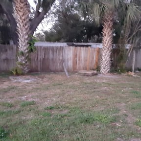 Leaf Removal by Rosetta LLC reviewed on September 16, 2025