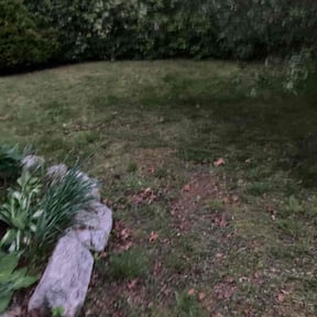 Leaf Removal by Perry’s Landscaping LLC reviewed on September 9, 2025