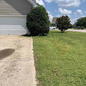 Bush Trimming by Grass Gurus reviewed on August 15, 2026