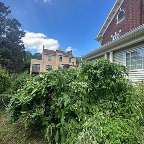 Bush Trimming by Diaz Lawn Care reviewed on August 17, 2025