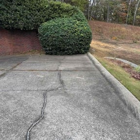 Bush Trimming by Fortners Lawn Care LLC reviewed on October 24, 2025