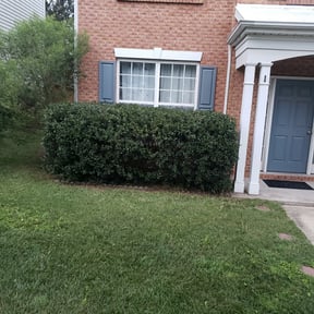 Bush Trimming by OT Lawn Service reviewed on August 18, 2025