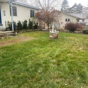 Leaf Removal by Crystal clear lawn care reviewed on September 28, 2025