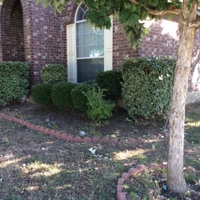 Bush Trimming by Four Seasons Nature Care Services reviewed on August 19, 2025