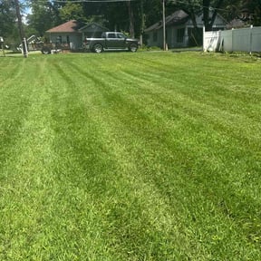 grass maintenance by T F Lawn Care Services reviewed on June 18, 2020