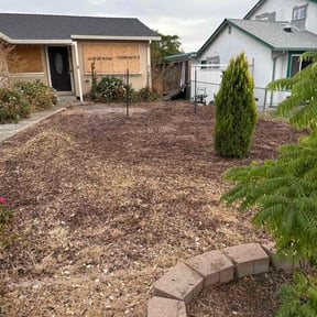 Flower Bed Weeding by All Around Landscaping reviewed on April 26, 2024