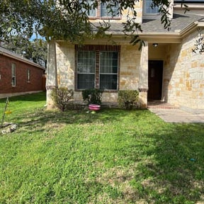 Bush Trimming by real lawn service reviewed on November 21, 2025