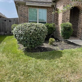 Bush Trimming by Goetz Lawn Care reviewed on August 21, 2025